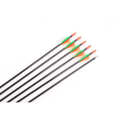 DAIBOW 28&quot; Fiberglass Youth Arrow Each