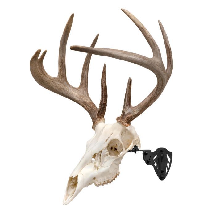 Allen EZ Mount Trophy Skull Hanger, Black