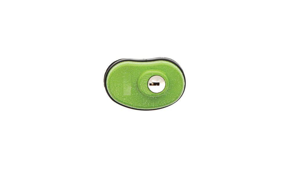 Lockdown Keyed Trigger Lock - Green