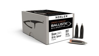 Nosler 6mm 95gr Ballistic Silvertip