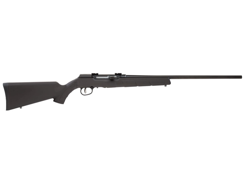 Savage A22 Rimfire Semi-Automatic Rifle, Black Synthetic Stock, Blued, 22 LR