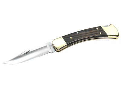 Buck 110 Hunter Folding Knife with Sheath