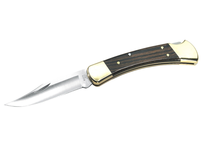 Buck 110 Hunter Folding Knife with Sheath