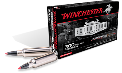 Winchester 7mm Rem Mag 160 Grain Accubond