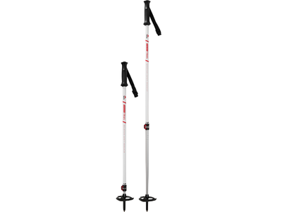 MSR Dynalock Trail Trekking Poles