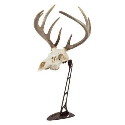 Allen EZ Mount Centerpiece Skull Stand, Brown