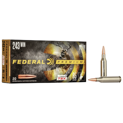 Federal Premium 243 Win 85 Grain  Barnes TSX
