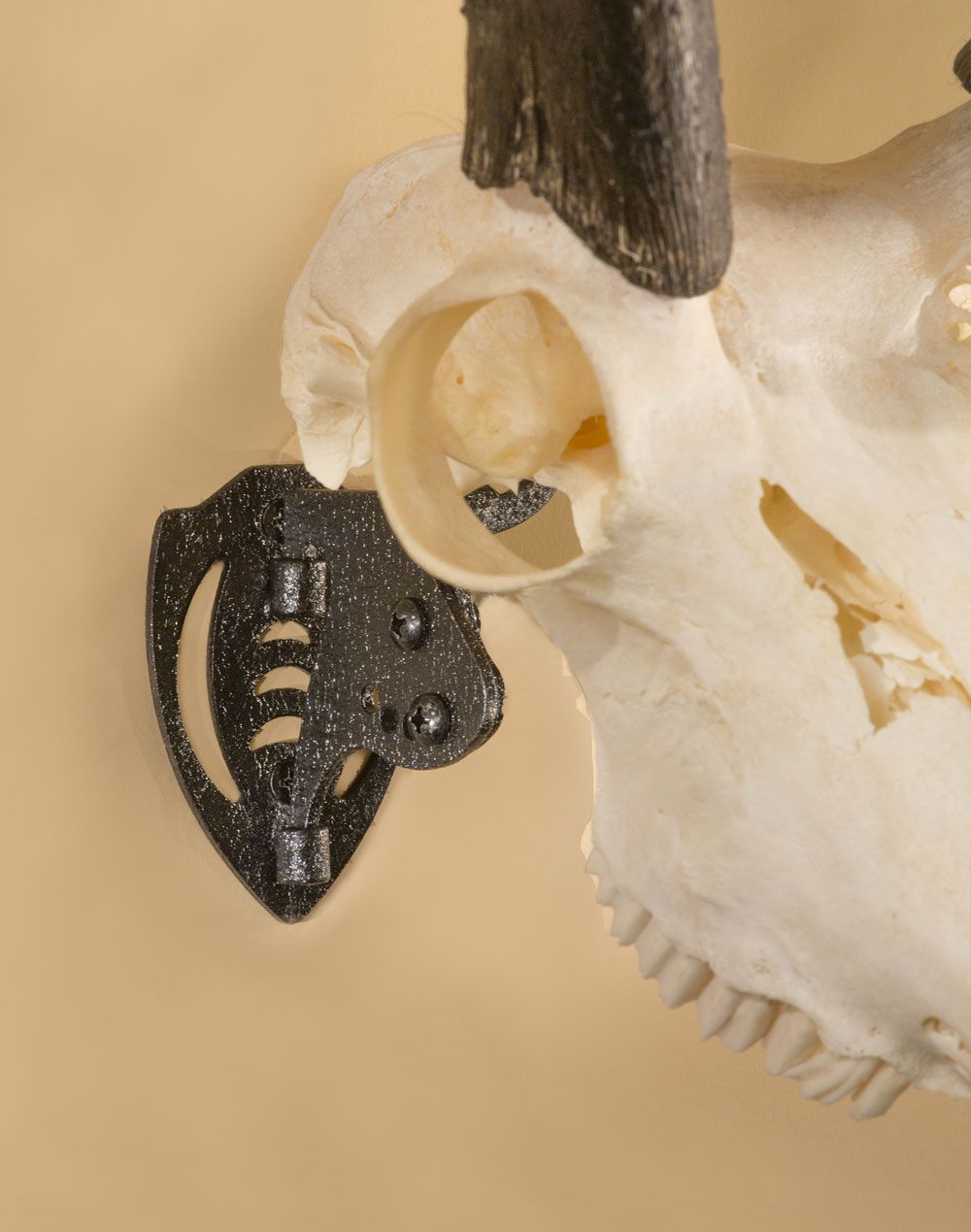 Skull Hooker Mini Hooker (Small Size Trophies) Black