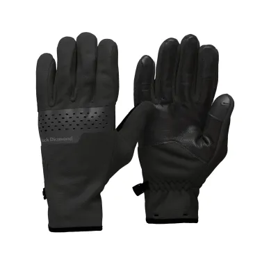 Black Diamond Alpine Fleece Gloves