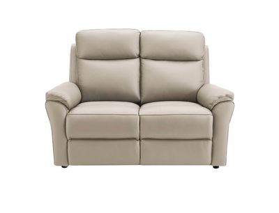 The Nardo Leather Reclining & Static Range
