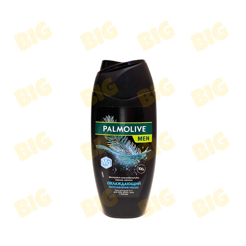 Լոգանքի գել Palmolive տղամարդու 250մլ․