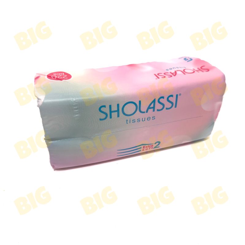 Անձեռոցիկ Sholassi 220հատ 2շերտ երկար