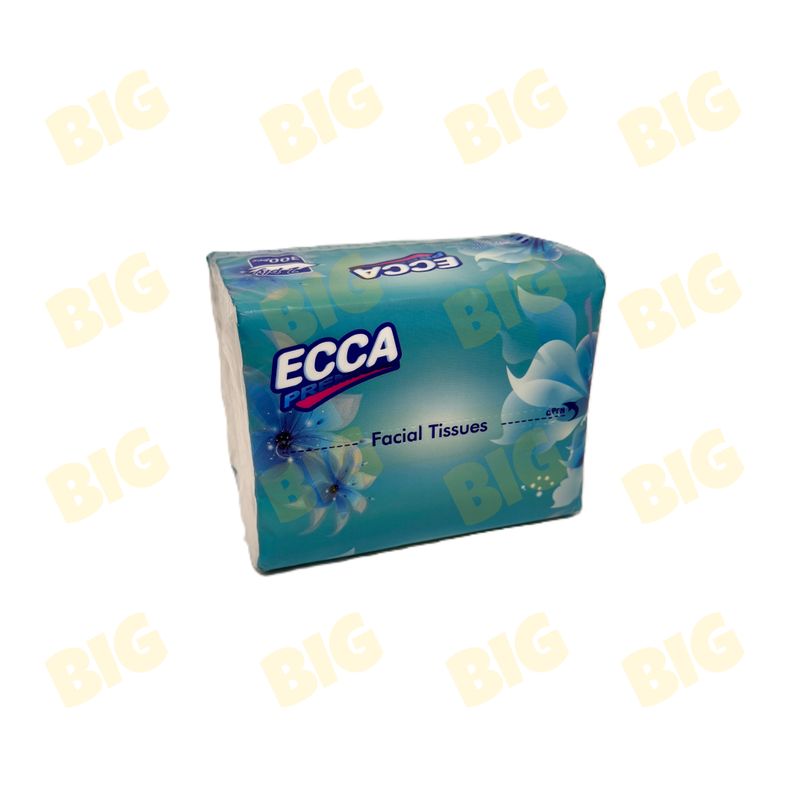 Անձեռոցիկ ECCA 2 շերտ 300հատ 14սմ․