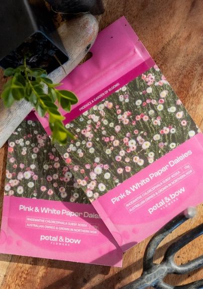 Paper Daisy Seed Packets