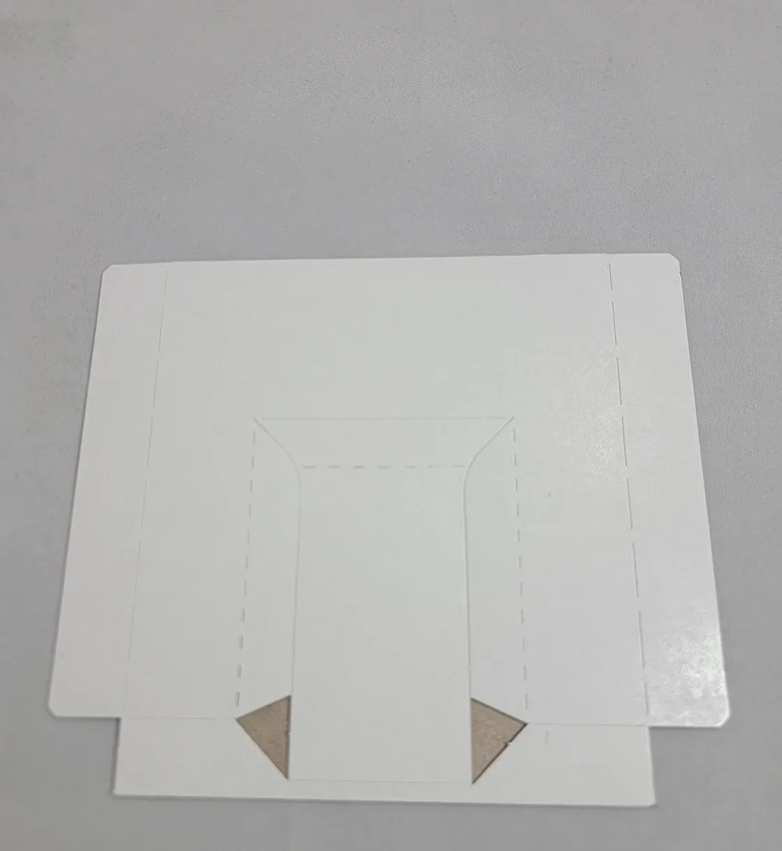 Game Boy Inner Cardboard Cartridge Tray