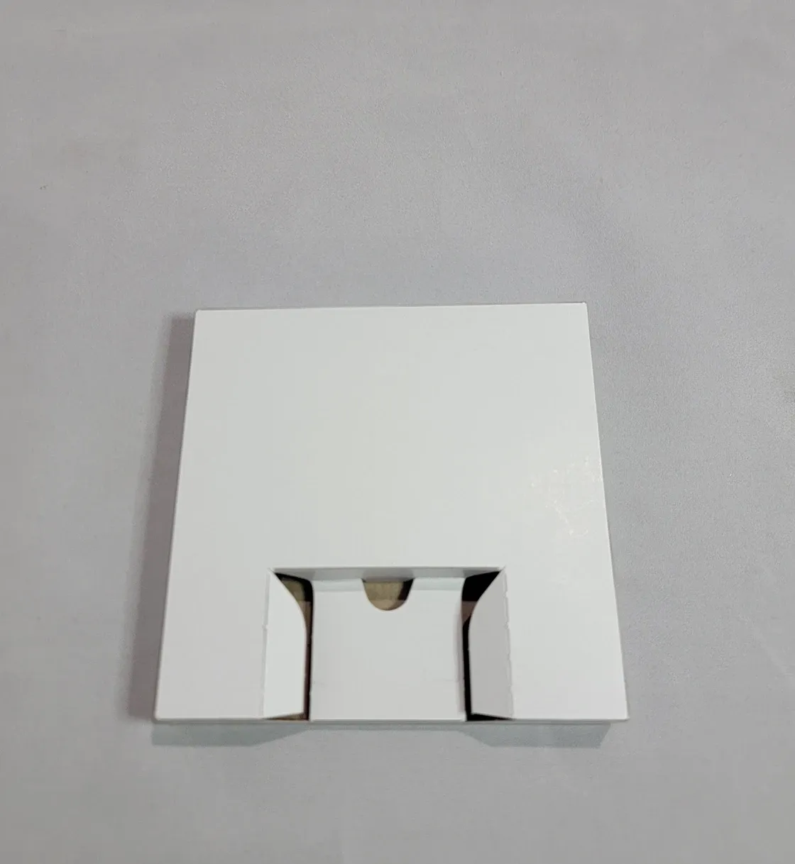 Game Boy Advance Inner Cardboard Cartridge Tray