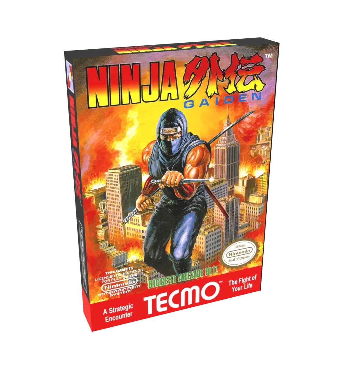 Ninja Gaiden Reproduction Box