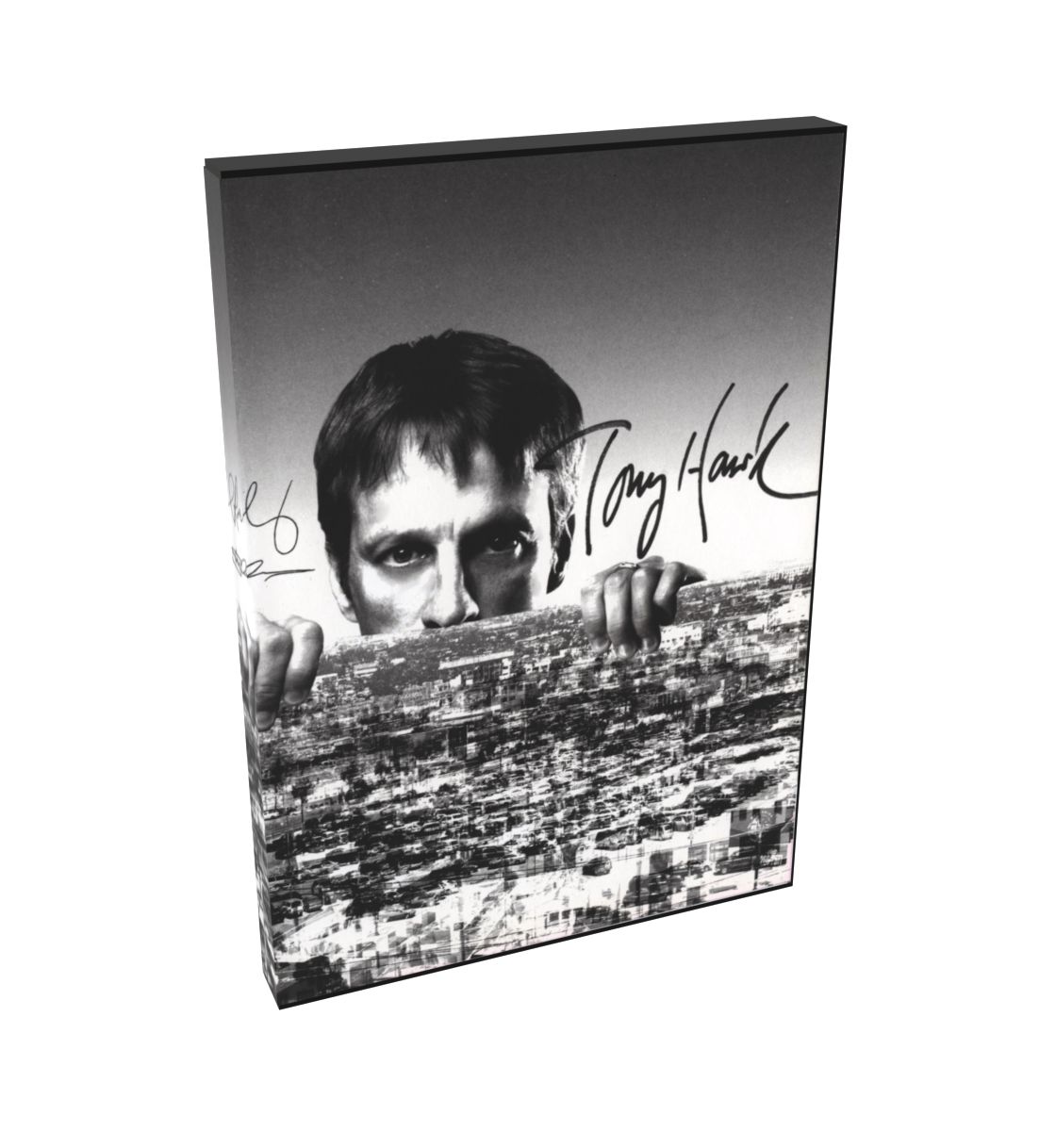 Tony Hawk&#39;s American Wasteland (Collector&#39;s Edition) (inside) | NTSC | Playstation 2 | PS2 | En | Reproduction Case and Booklet - NO GAME