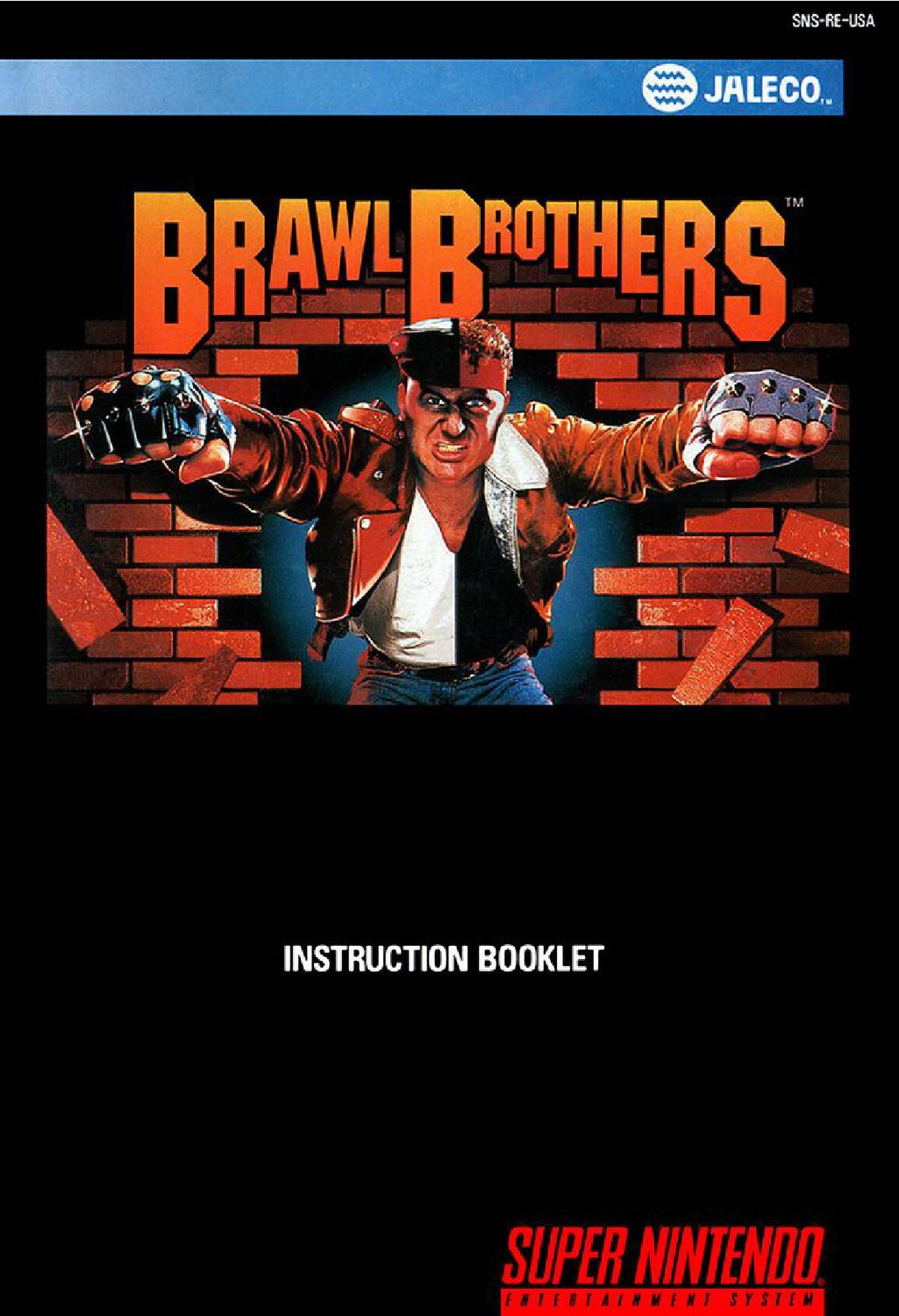 Brawl Brothers Reproduction Manual