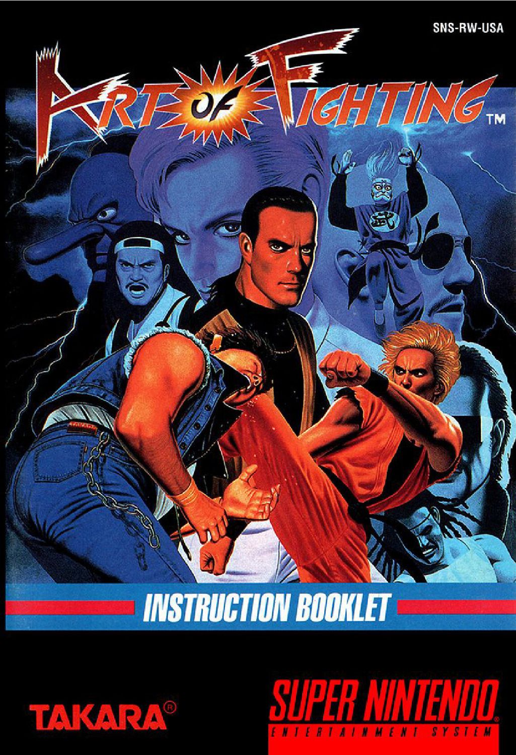 Art of Fighting Reproduction Manual