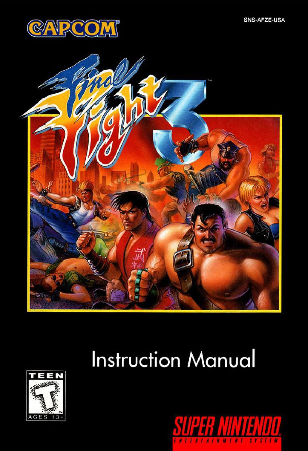 Final Fight 3 Reproduction Manual