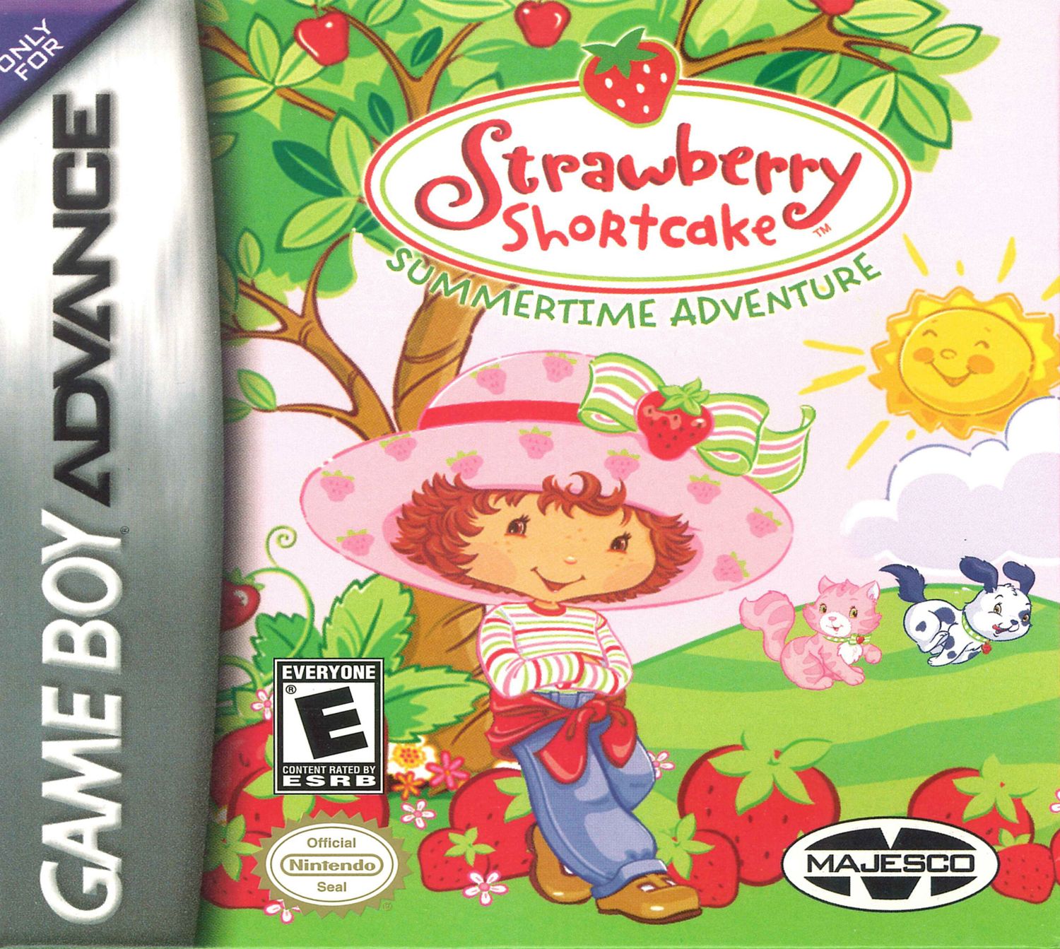 Strawberry Shortcake Summertime Adventure Reproduction Box
