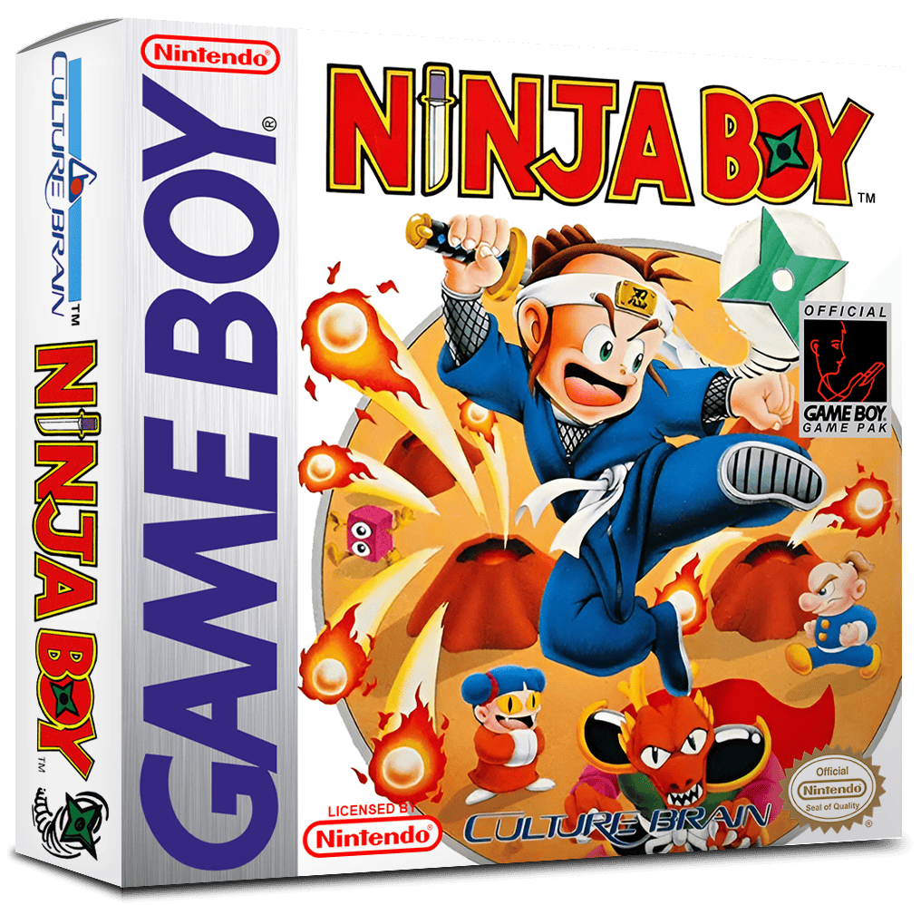 Ninja Boy Reproduction Box