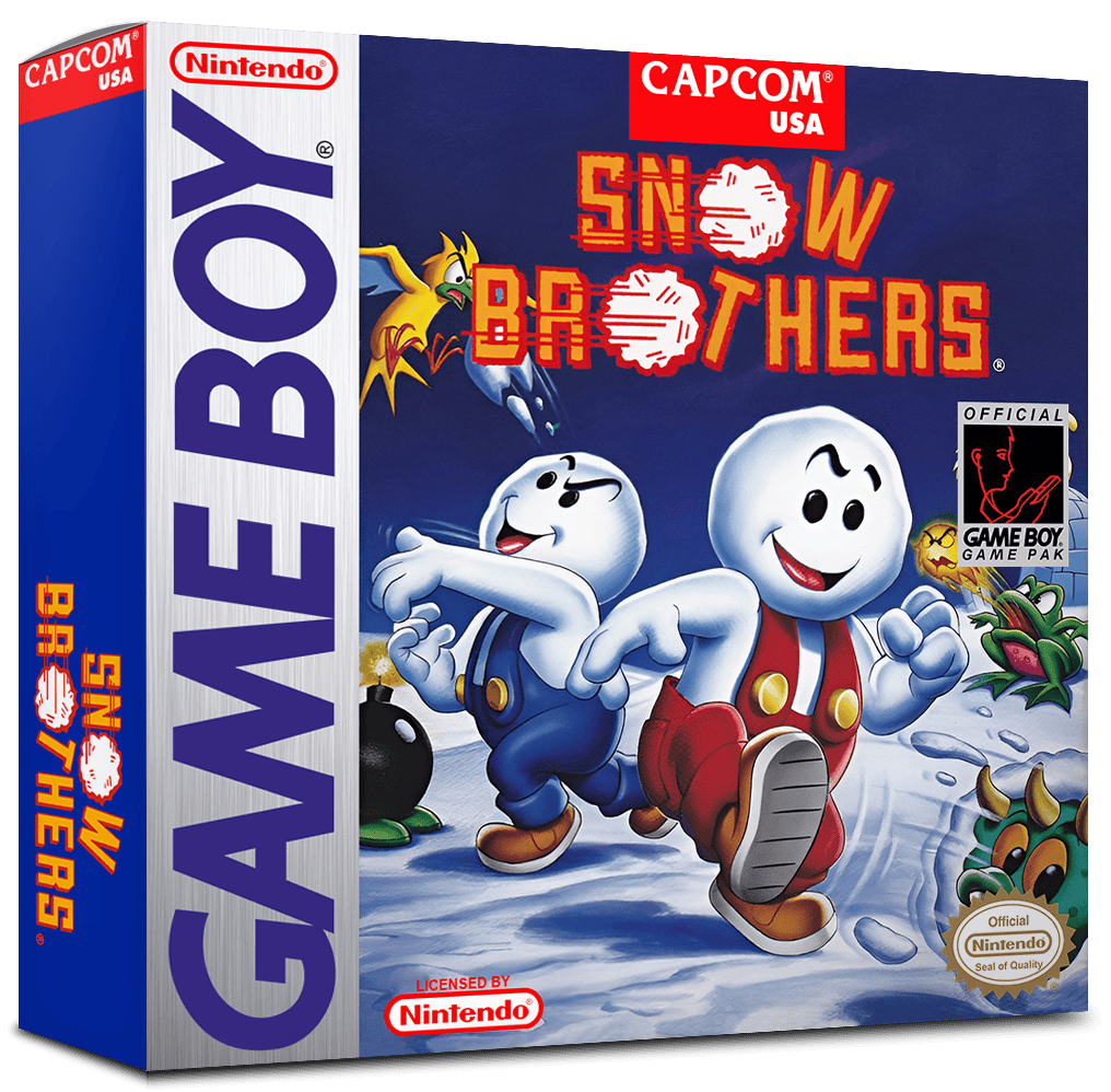 Snow Brothers Reproduction Box