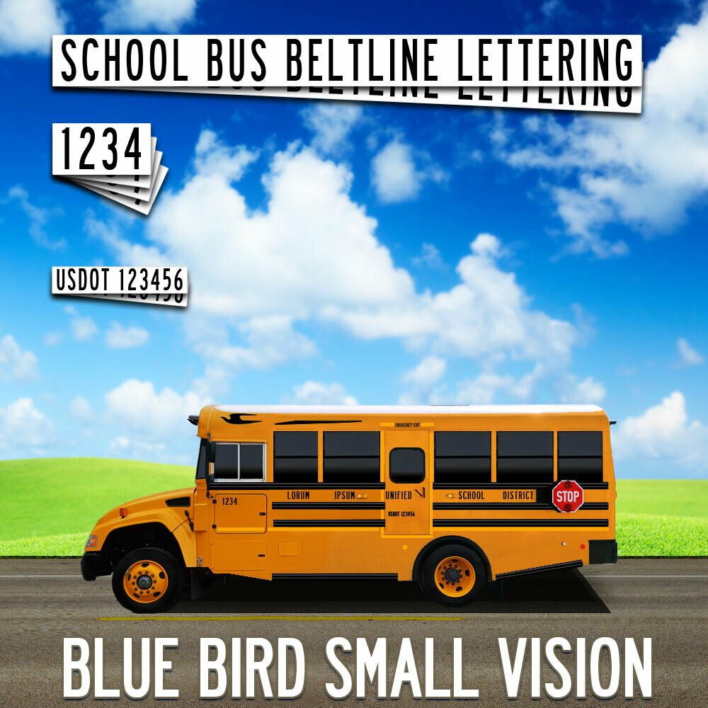 Blue Bird Small Vision Lettering
