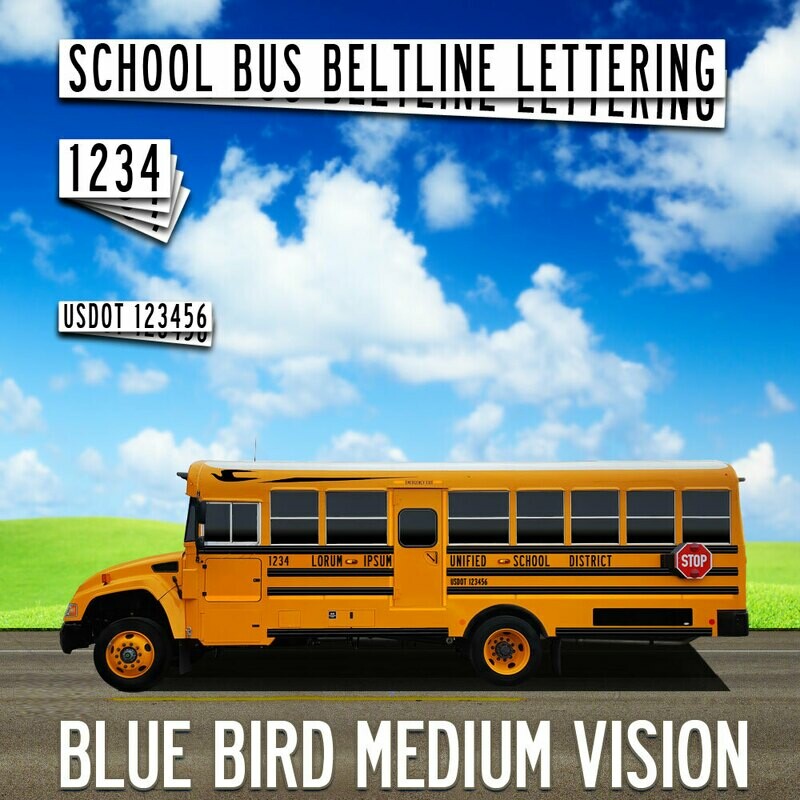 Blue Bird Medium Vision Lettering
