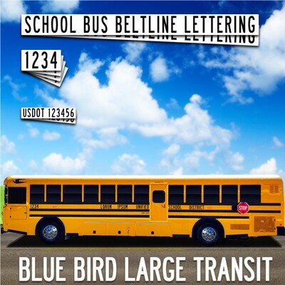 Blue Bird Large Transit Lettering