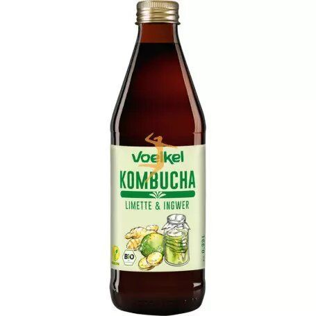 Kombucha Lima y Jengibre 330ml ( Vegano )