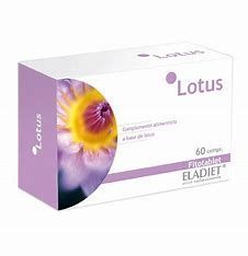 Lotus  (raiz de Loto)  60 compr.