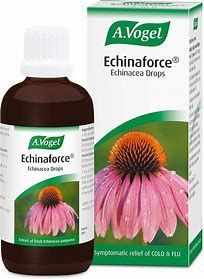 Echinaforce Vogel en gotas 100ml
