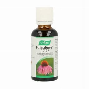 Echinaforce gotas 50ml