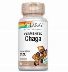 Seta Chaga Fermentado 60 Caps