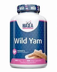 Wild Yam (Ñame Silvestre) 500mg 100Veg Caps
