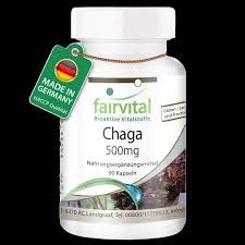 Chaga - Hongo medicinal 500mg - 90 Cápsulas