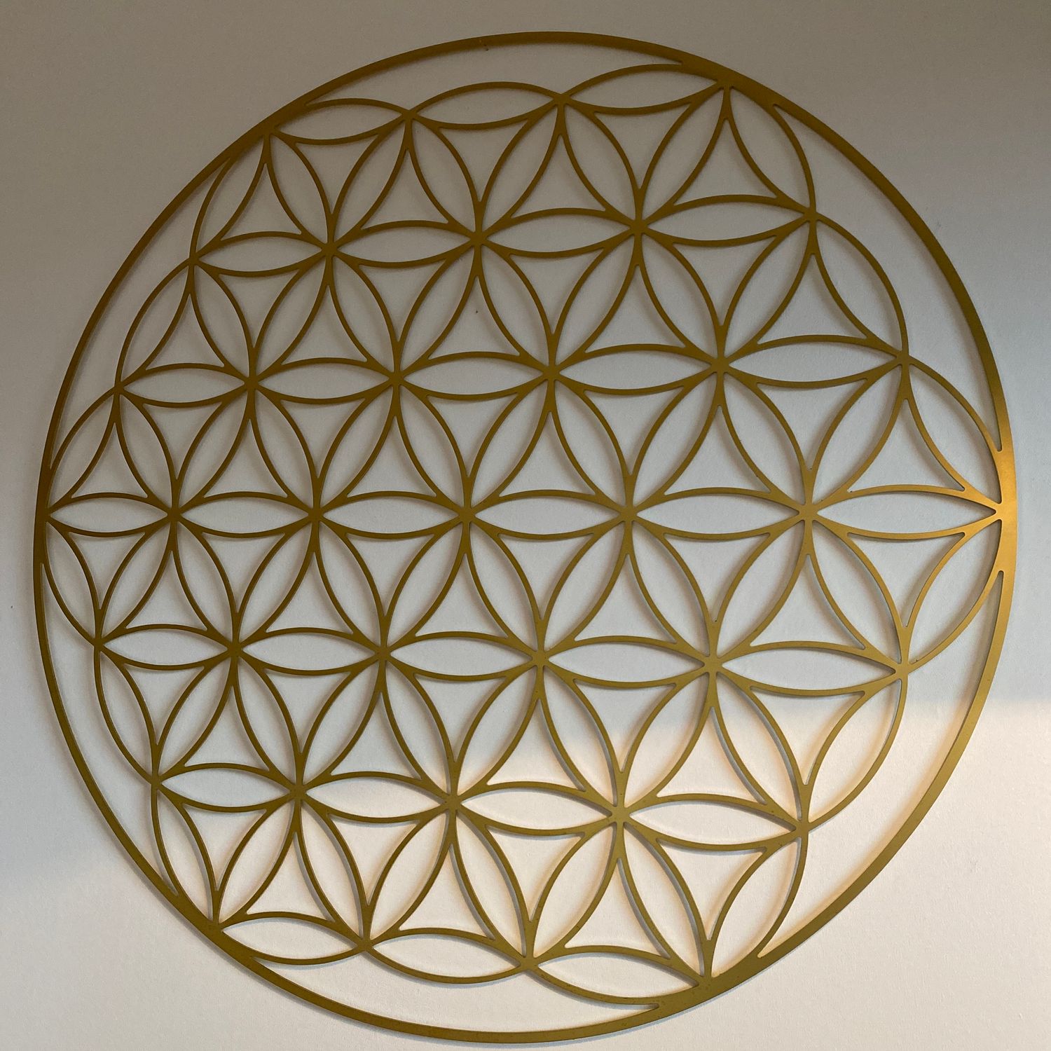 Lebensblume 50 cm