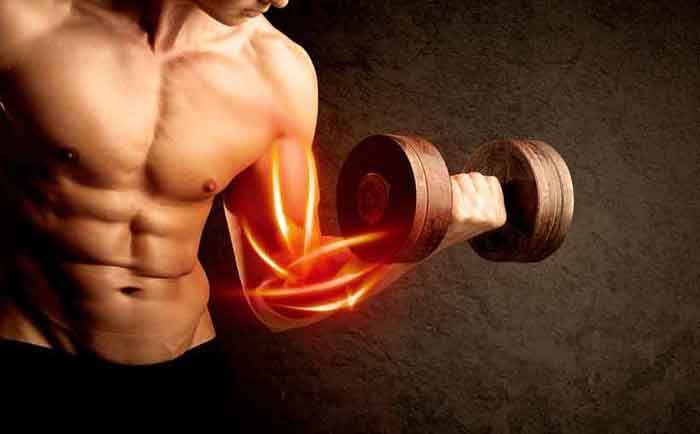 Best SARM for Bulking and Muscle Growth 2025