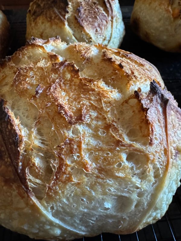 Roasted Garlic Sourdough Loaf