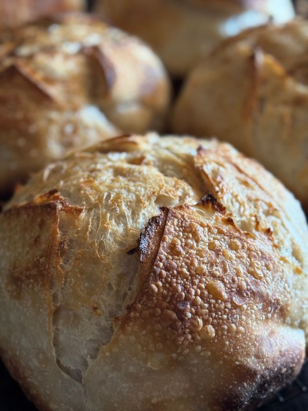 MINI Sourdough Loaf