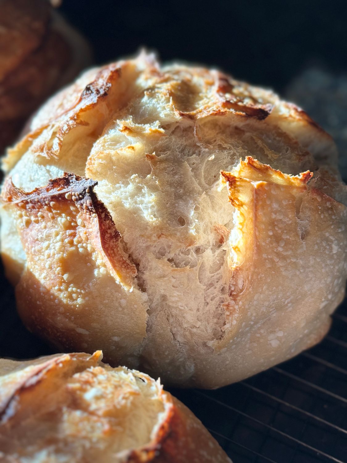 Classic Sourdough Loaf