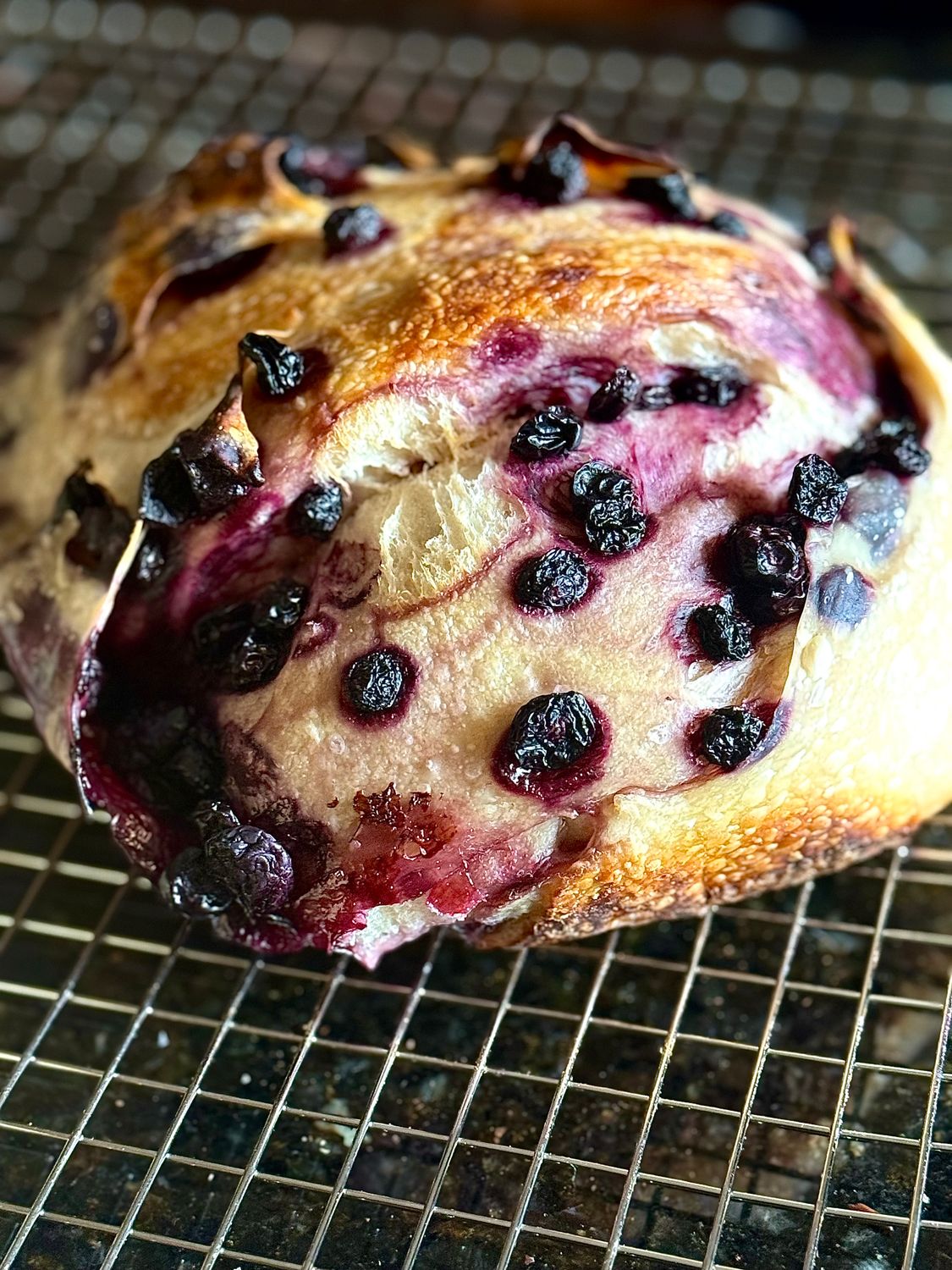 Blueberry Sourdough Loaf