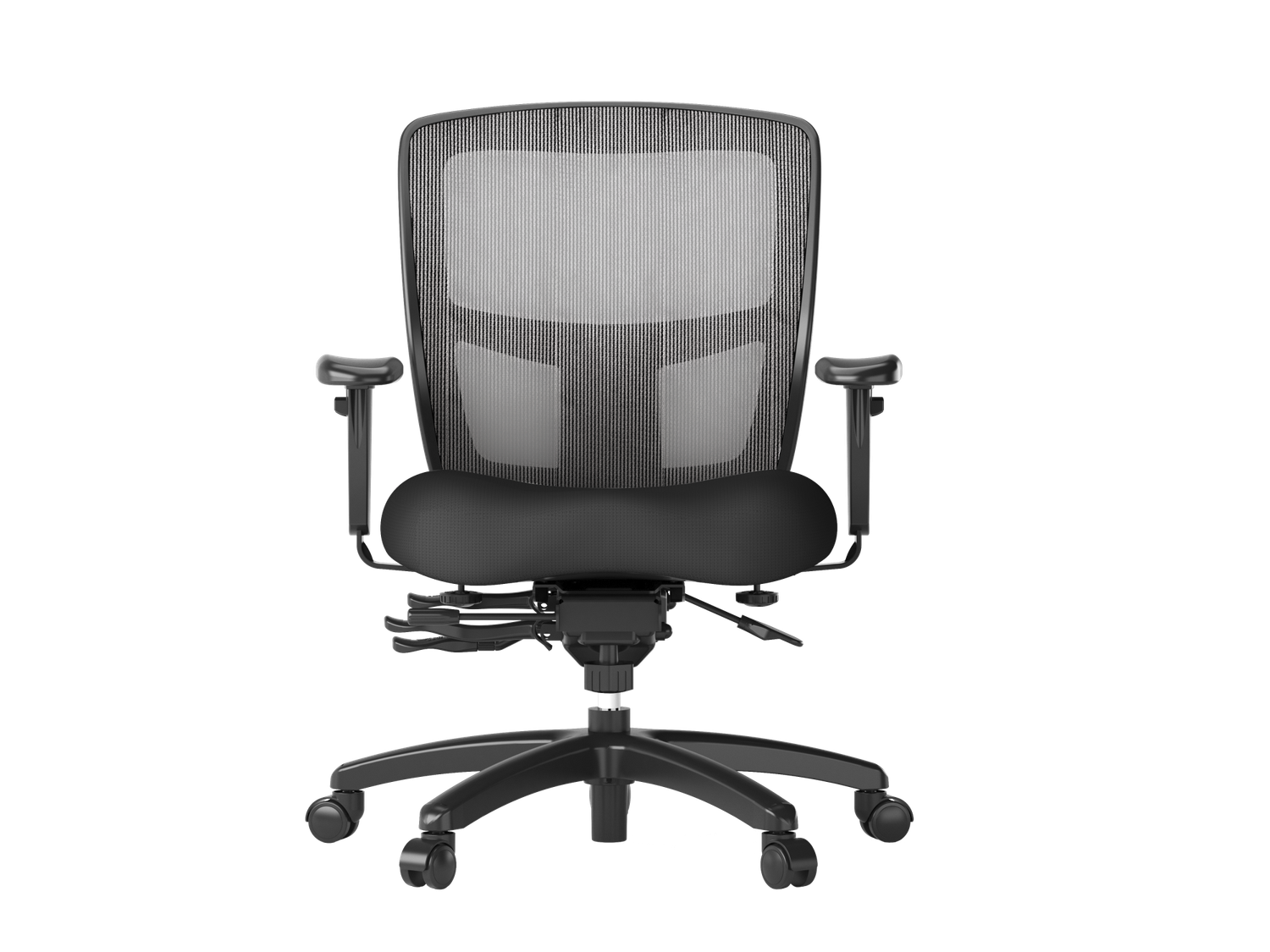 Friant MidZone Adjustable Task Chair