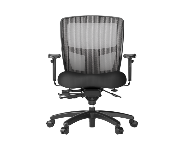 Friant MidZone Adjustable Task Chair