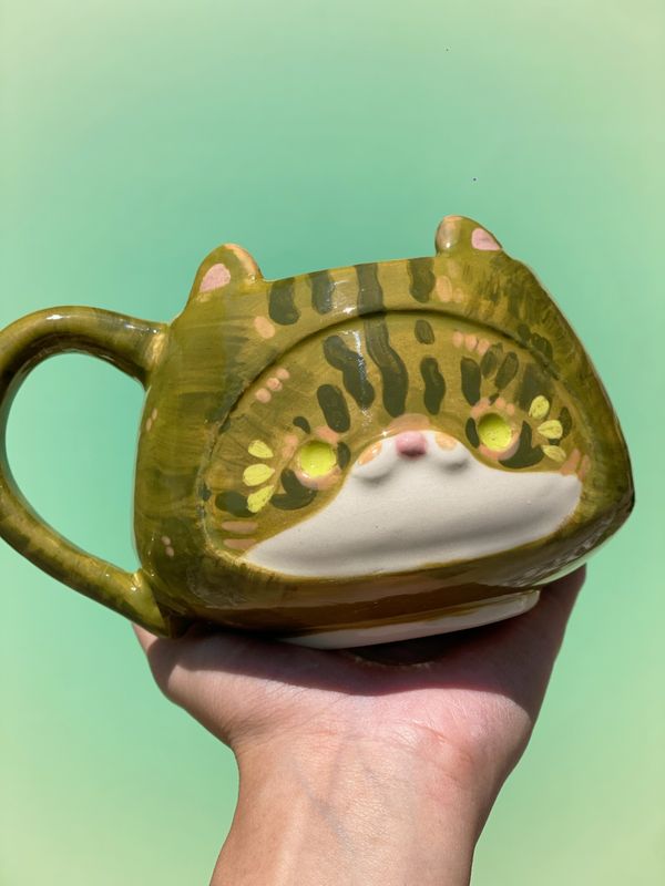 Gato-sandía 🍉