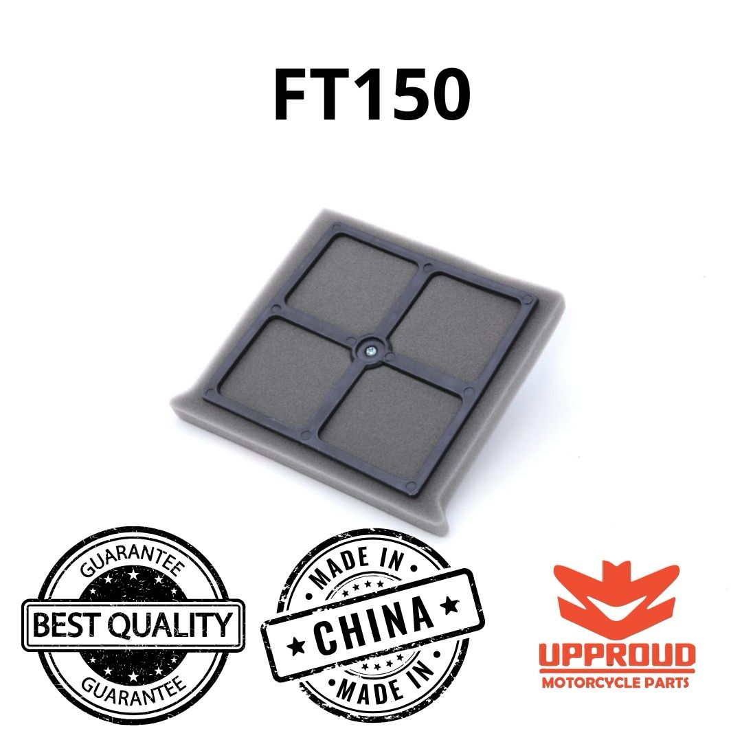 Filtro de aire FT-150 (08