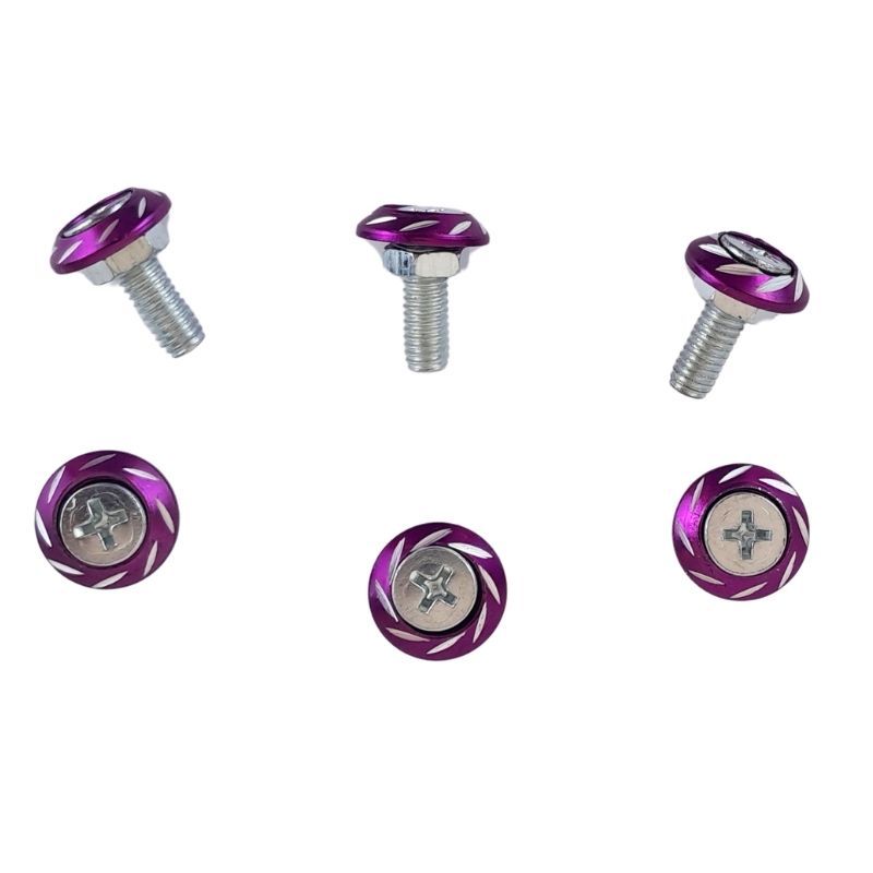 Tornillos planos decorativos (6 piezas) TRAXP-001 morado AXESPRO 