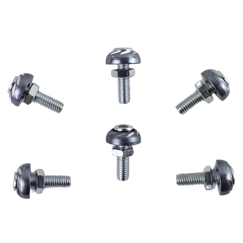 Tornillos decorativos (6 piezas) TRAXP-002 gris AXESPRO 